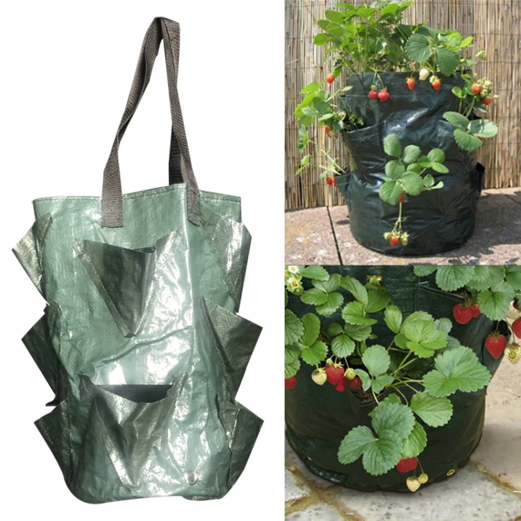 CMD-3 3 Gallon Hanging Strawberry PE Planting Bag Horticultural Flower Planting Bag