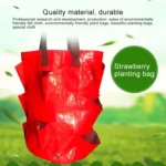CMD-3 3 Gallon Hanging Strawberry PE Planting Bag Horticultural Flower Planting Bag - Image 5