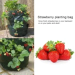 CMD-3 3 Gallon Hanging Strawberry PE Planting Bag Horticultural Flower Planting Bag - Image 6