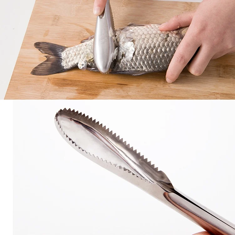 HC6319_4.webp Kitchen Essential Stainless Steel Bidirectional Sawtooth Fish Scraper Fish Scale Planing Knife - Image 5