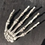 One Pair Halloween Skeleton Hands Haunted House Decoration Props, Size: 15.5 x 10cm - Image 4
