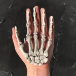 One Pair Halloween Skeleton Hands Haunted House Decoration Props, Size: 15.5 x 10cm - Image 5