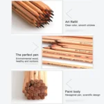 12pcs Drawing Writing Sketch Wooden Pencil Pre-sharpened 2B Art Graphite Pencils - Image 5