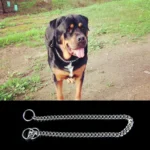 65cm Pet P Chain Pet Collars Pet Neck Strap Dog Neckband Snake Chain Dog Chain Dog Collar - Image 6