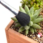 5 PCS Horticultural Plant Brushes Debris Brush Dust Brush - Image 7