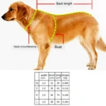 Pet Dogs A7 Reflective Polyester Chest Harness Lead Leash Traction Big Dogs Safety Chain Rope Collar, Size: L, 2.5*68*84cm - Image 7