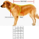 Pet Dogs Polyester Reflective Breathable Pets Collar Traction Lead Leash, Size: L, 2.5*47*54cm - Image 5