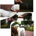 Pet Dogs Nylon Night Reflective Breathable Handheld Traction Lead Leash, Size: S, Adjustable Range: 2.0*(100-140cm) - Image 6