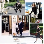 Pet Medium Large Dogs Cushion Traction Rope Spring Foam Handle Explosion-proof Short Chain, Size: 3mm*40cm, Foam Width: 2cm - Image 6