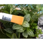 2 PCS Horticultural Plant Brushes Debris Brush Dust Brushes Multi-meat Plant Brushes Micro-landscape Moss Household Small Brush Tools - Image 4