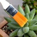 2 PCS Horticultural Plant Brushes Debris Brush Dust Brushes Multi-meat Plant Brushes Micro-landscape Moss Household Small Brush Tools - Image 5