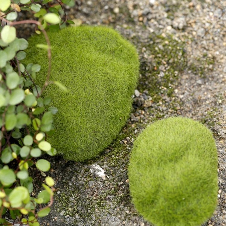 HC8528_4.webp Simulation of False Moss Simulation of Bryophyte Stone Moss Flocking False Lawn Micro Landscape Decoration Accessories,Diameter:10cm - Image 5