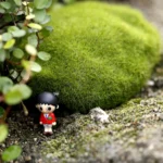 5pcs Simulation of False Moss Simulation of Bryophyte Stone Moss Flocking False Lawn Micro Landscape Decoration Accessories,Diameter: 8cm - Image 4