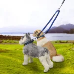 Pet Telescopic Buffer Double Traction Rope Nylon Reflective Braided Rope, Small, Length: 70cm, Random Color Delivery - Image 10