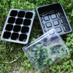 Seedling Tray Sprout Plate 12 Holes Nursery Pots Tray Lids Box For Gardening Bonsai Mini Greenhouse Nursery Plate - Image 4
