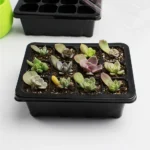 Seedling Tray Sprout Plate 12 Holes Nursery Pots Tray Lids Box For Gardening Bonsai Mini Greenhouse Nursery Plate - Image 5