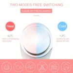 Multi-functional Household Beauty and Body Apparatus Facial Ion Importer - Image 6