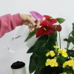 250ML Disinfection Spray Bottle Alcohol 84 Disinfection Solution Watering Can, Random Nozzle Color Delivery - Image 6