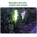 Simulated Lily Flower 4 Heads Solar Powered Outdoor IP55 Waterproof LED Decorative Lawn Lamp, White Light - Image 9