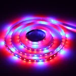 4:1 2m Bare Board 5050 SMD RGB LED Rope Light, 12V 2A 100-240V - Image 5