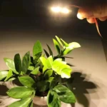 3W 6 LEDs SMD 5730 LED Module Lamp Ceiling Lighting Source, DC 5V 4000K - Image 4