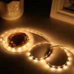 Bare Board 2835 SMD Dimmable White Light / Warm Light LED Rope Light, 60 LED/m, Length: 5m, 12V 2A 100-240V - Image 5