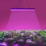 T5 4.8W 15 LEDs Red + Blue Plant Growth Light Greenhouse Light Aquarium Light