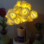 20 LEDs Teenage Style Warm Fairy Decorative Lamp for Christmas, Wedding, Bedroom