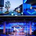 USB 2835 SMD LED UV Purple Light Waterproof Epoxy Rope Light, DC 5V, Length: 2m - Image 6