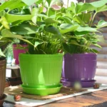 10 PCS Imitation Wooden Barrel Plastic Resin Flower Pot with Tray, Top Diameter: 9cm, Height: 6.5cm - Image 7