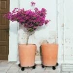 Iron Plant Flower Pot Stand Universal Wheel Moving Round Flower Pot Rack, Diameter: 30cm - Image 6