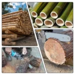 Hilda Power Tool Angle Grinder Substation Chain Saw Polishing Machine to Change Saw Converter - Image 8