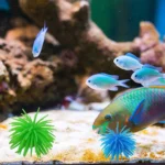 Aquarium Articles Decoration TPR Simulation Sea Urchin Ball Coral, Size: S, Diameter: 7cm - Image 6