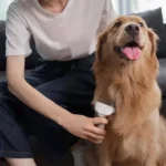 Original Xiaomi Youpin Pawbby One-handed Pet Hair Removal Comb - Image 8