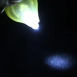 Mini LED Flashlight, White Light - Image 4