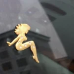 Beautiful Girl Diamond Metal Chrome Badges - Image 5