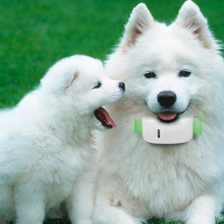 S-GPS-1642L_10.webp KH-909 Universal IPX6 Waterproof GPS Tracker for Pet / Kid / the Aged - Image 11