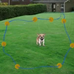 W-227 Electric Fencing Shock Collar System for Pet Dog Cat - Image 12