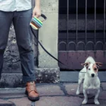 Easy Operation Retractable Flexible Dog Leash - Image 6