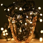 100 LED RGB Light with Controller, Flashing / Fading / Chasing Effect - Image 4