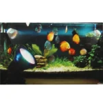 2.3W Waterproof Spotlights, 36 LED Amphibious Fish tank / Aquarium Colorful Light, Waterproof depth: 1-1.5m(Black) - Image 3