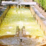 1.2W Solar Panel Brushless Pump(Black) - Image 5