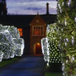 4x6m 672 LEDs Waterproof Fishing Net Lights Curtain String Lights Fairy Wedding Party Holiday Decoration Lamps 220V, EU Plug - Image 6