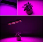 25W 75LEDs Full Spectrum Plant Lighting Fitolampy For Plants Flowers Seedling Cultivation Growing Lamps LED Grow Light AC85-265V - Image 3