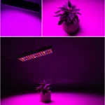 25W 75LEDs Full Spectrum Plant Lighting Fitolampy For Plants Flowers Seedling Cultivation Growing Lamps LED Grow Light AC85-265V - Image 9