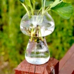 Mushroom Shaped Glass Vase Terrarium Bottle Container Flower Home Table Decoration - Image 3