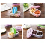 Fresh Fruit Snacks Storage Double Cell Clamshell Crisper Plastic Food Box - Image 3