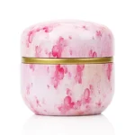 HOOMIN Tea Box Tea Jar Storage Holder Tea Caddies Matcha Container Mini Coffee Powder Organizer Cans Multifunction Round Metal