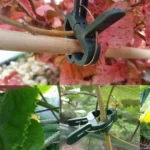 Plastic Plant Garden Clip Set - Image 5