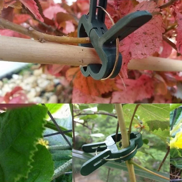 TBD0181451101A_4.webp Plastic Plant Garden Clip Set - Image 5
